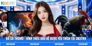 Đá Gà Thomo - Hình Thức Đấu Kê Được Yêu Thích Tại CN3789