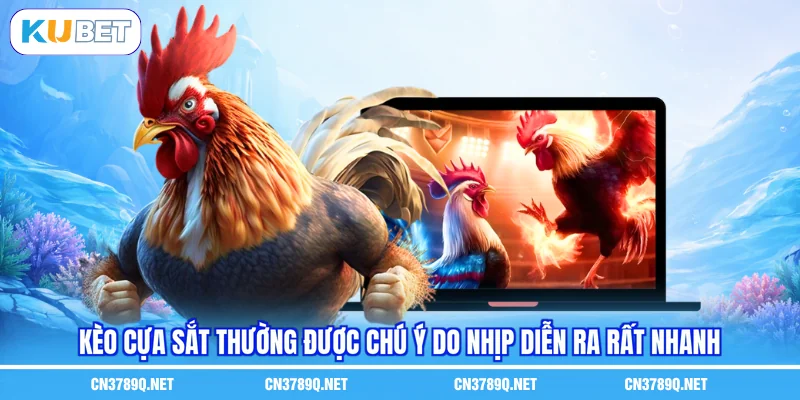 Kèo cựa sắt thường được chú ý do nhịp diễn ra rất nhanh