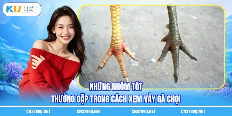 Những nhóm tốt thường gặp trong cách xem vảy gà chọi